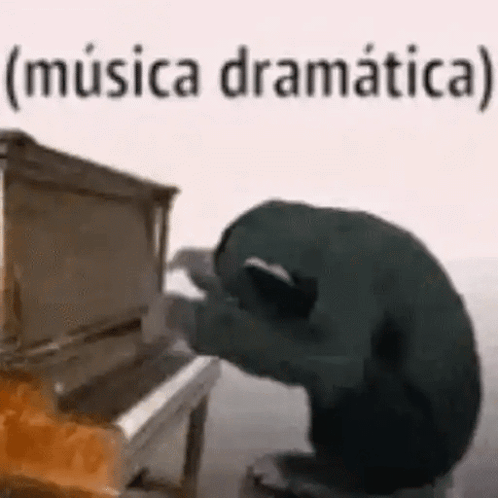 Cat Kneeling At Piano Playing Music GIF