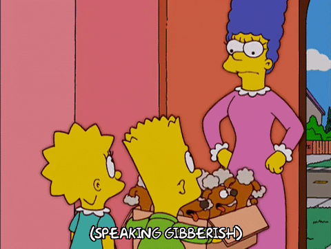 Cat Lady And The Simpsons Family GIF