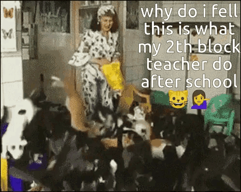 Cat Lady Cat Gif GIF