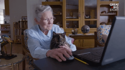 Cat Lady Facing A Laptop With Her Pet GIF