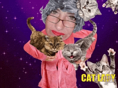 Cat Lady Gif GIF