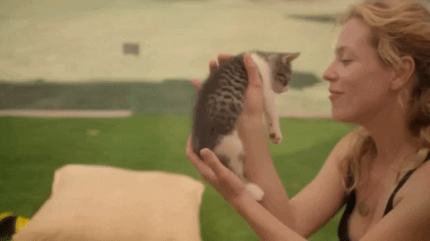 Cat Lady Holding A Kitten GIF