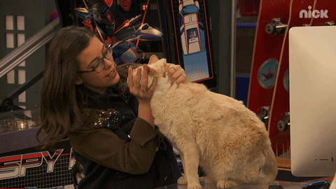 Cat Lady Kissing Her Pet On Face GIF