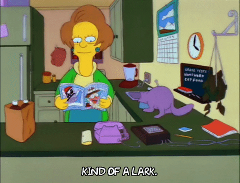 Cat Lady The Simpsons Edna Krabappel GIF