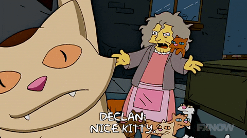 Cat Lady Throwing Her Pets GIF
