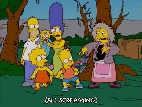 Cat Lady Tossing Pets To The Simpsons Family GIF