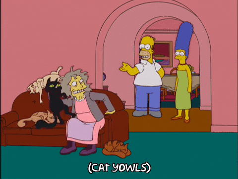 Cat Lady With Homer And Marge Simpsons GIF