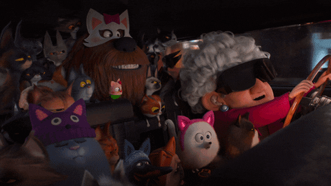 Cat Lady With Secret Life Of Pets Characters GIF