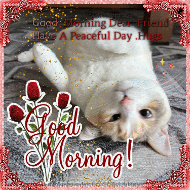 Cat Laying Back With Good Morning Dear Friend GIF