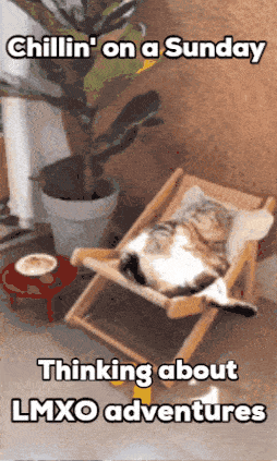 Cat Laying In Chair Chillin On A Sunday Thinking About LMXO Adventures GIF