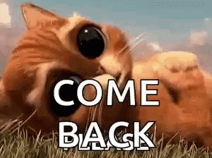 Cat Laying in Grass Saying Come Back