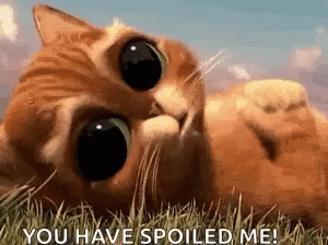 Cat Laying in Grass Saying You Have Spoiled Me