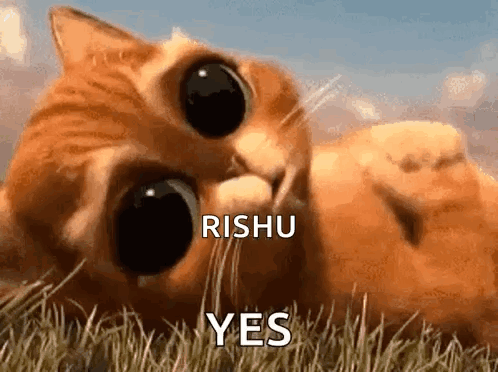 Cat Laying in Grass With Rishu Yes
