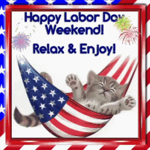Cat Laying in Hammock Happy Labor Day Weekend Relax and Enjoy