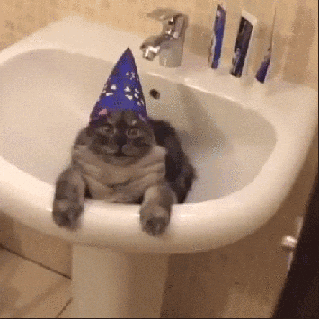 Cat Laying In Sink With Party Hat GIF