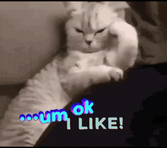 Cat Laying Lap Blue Um Ok I Like