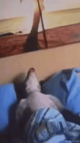 Cat Laying on Bed Looking at Mirror