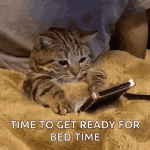 Cat Laying On Bed Looking At Phone GIF