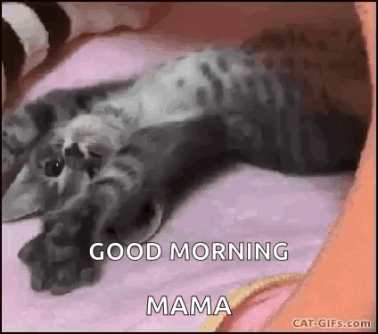 Cat Laying on Bed Saying Good Morning Mama