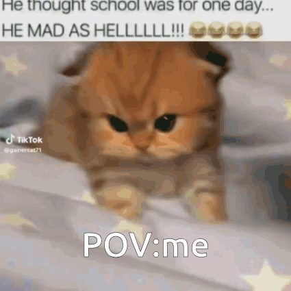 Cat Laying on Bed Saying School Was for One Day