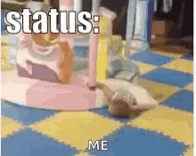 Cat Laying On Floor Saying Status Me GIF