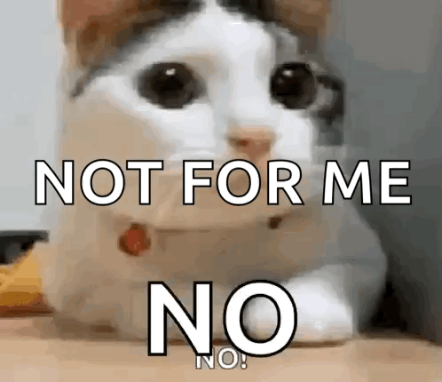 Cat Laying On Lap Saying Not For Me No GIF