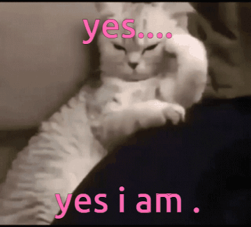 Cat Laying on Lap with Yes I Am