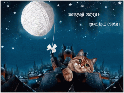 Cat Laying on Roof with Ball of Yarn