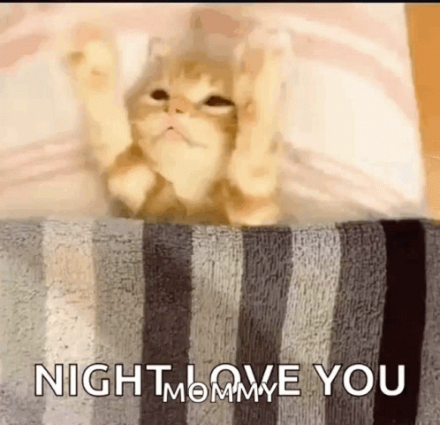 Cat Laying on Striped Blanket Saying Night Love You