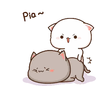 Cat Laying on Top of Another Cat with Pia