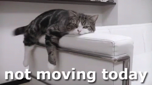 Cat Laying On White Couch Not Moving Today GIF