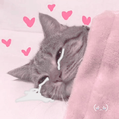 Cat Laying Under Pink Blanket With Hearts GIF