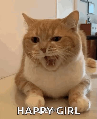 Cat Laying With Open Mouth And Happy Girl Text GIF