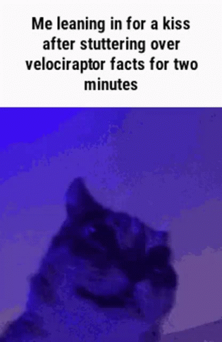 Cat Leaning For Kiss After Stuttering Velociraptor Facts GIF