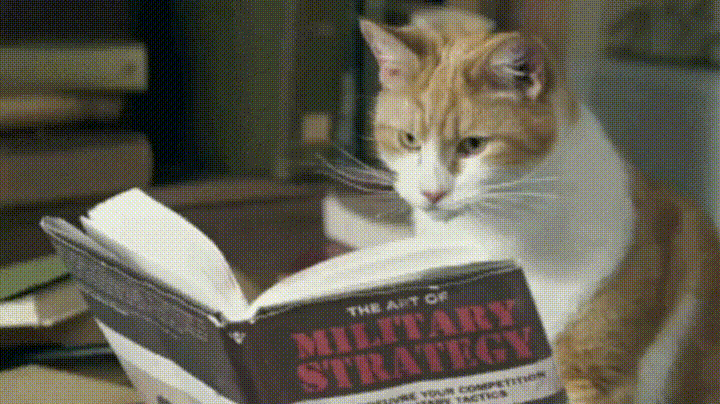 Cat Learning Military Strategy Meme GIF