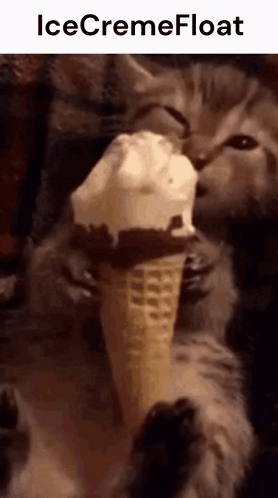 Cat Licking Ice Cream In A Cone GIF