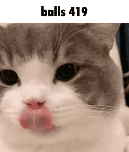 Cat Licking Lips Balls 419