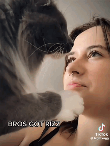 Cat Licking Woman's Face Bros Got Rizz GIF