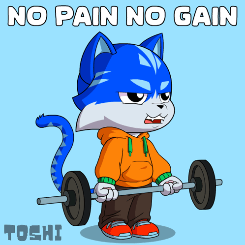 Cat Lifting Barbell No Pain No Gain