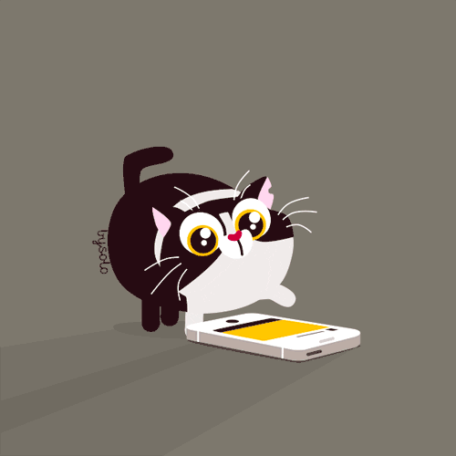 Cat Liking On Instagram GIF