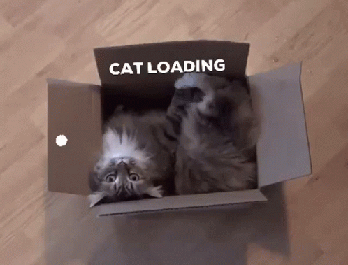 Cat Loading Spinning Cat GIF
