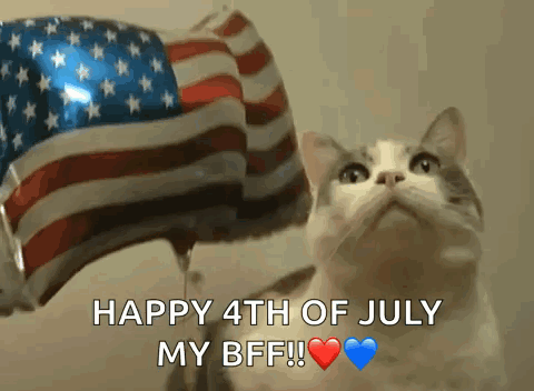 Cat Looking American Flag Balloon Happy 4th July