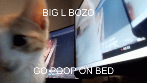 Cat Looking At Big L Bozo Go Poop GIF