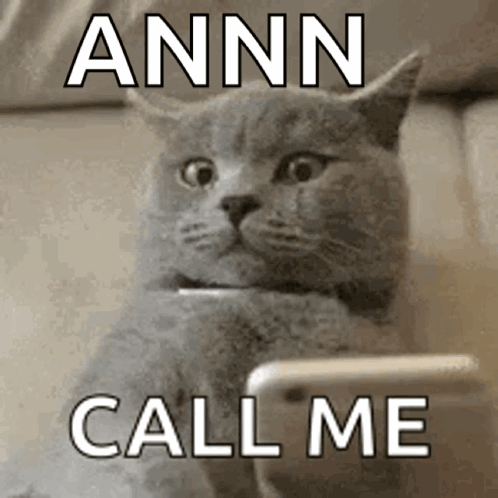 Cat Looking at Cell Phone Saying Annn Call Me