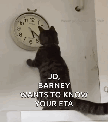 Cat Looking at Clock Saying Barney Want Your ETA