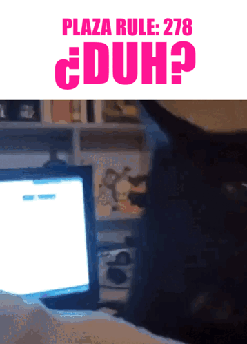 Cat Looking at Computer on Plaza Rule 278 Poster