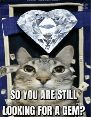 Cat Looking at Heart Shaped Diamond Saying So You Are Still Looking for a Gem