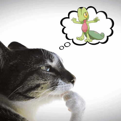 Cat Looking at Lizard Thought Bubble