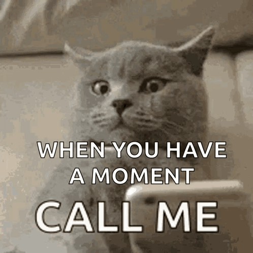 Cat Looking At Phone Saying Call Me GIF