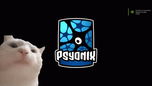 Cat Looking at Rocket League Logo